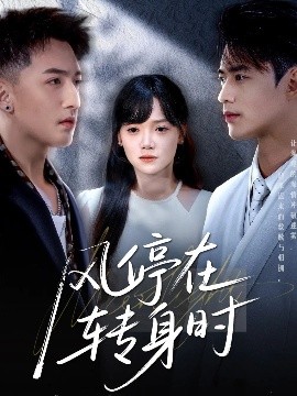 風停在轉(zhuǎn)身時