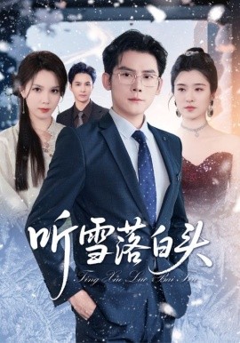 聽(tīng)雪落白頭